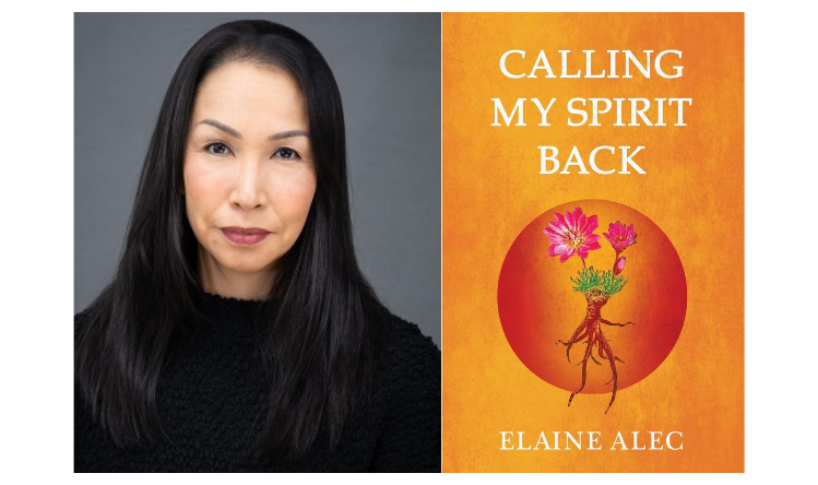 Elaine Blog image