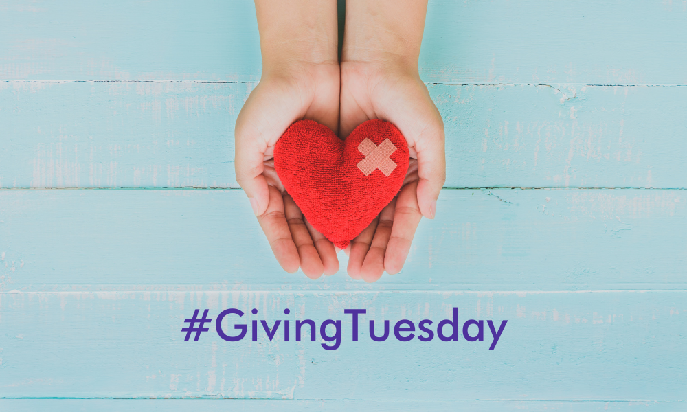 Blog Header #GivingTuesday